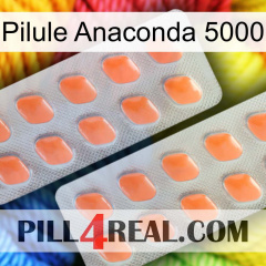 Anaconda 5000 Pill 27